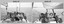 Ex Eneseay - Lithographic Squadron Adventurous Training -Sailing. 1988.