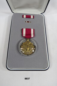 USA Army Presentation Case with Service Medal inside.                                                                                                                                                                                                                                                                                                                                                                                                                                  