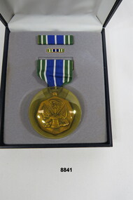 Army Achievement Medal in Presentation Case.
