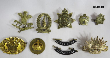 Various Military Badges of different types.