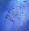 Back of Australian Blue ensign, signature of RSM.