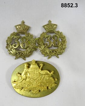 Various military badges of different types.