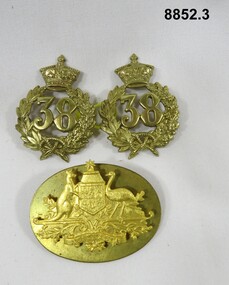 Various military badges of different types.