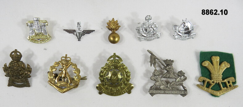 Various military badges in different types.