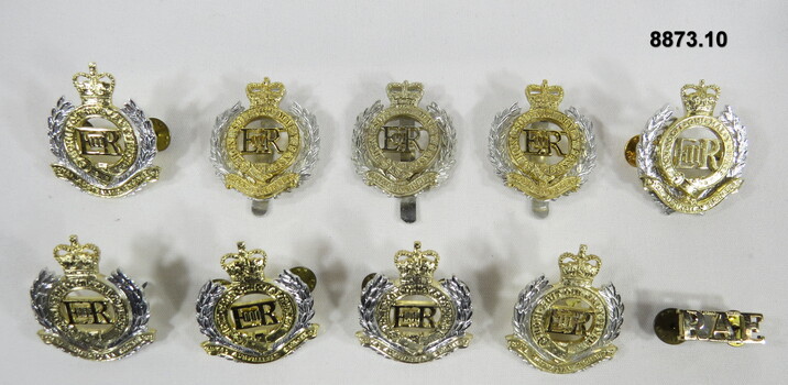 Various Military badges of different types.