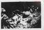 10646.14P Toll Plantation massacre