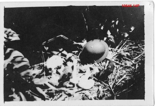 10646.14P Toll Plantation massacre