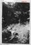 10646.15P Toll plantation massacre
