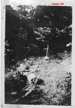 10646.15P Toll plantation massacre