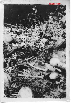 10646.18P Toll Plantation massacre