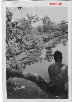 10645.10P River NT.