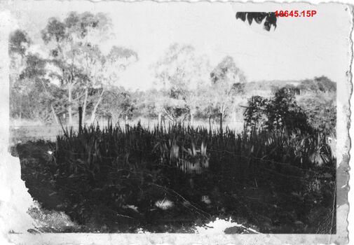 10645.15P Lagoon Darwin