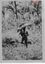 10647.07P Jacquinot