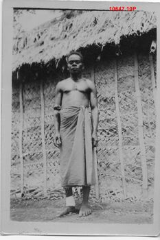 10647.10P old Nick Rabaul.