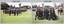 Army Svy Regt Freedom of Entry Parade, 1990.