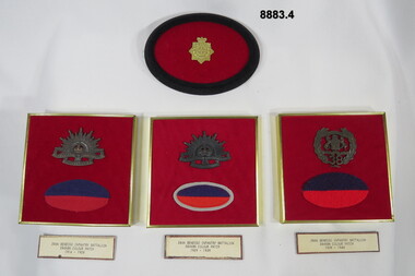 Various Military Badges of different types.
