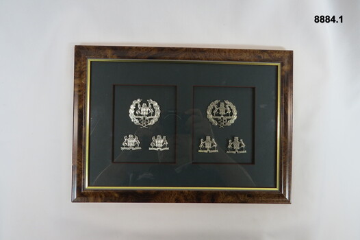 Various Military Badges different types.