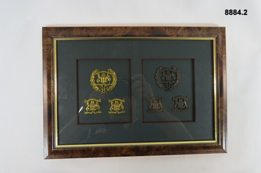 Various Military badges of different types.