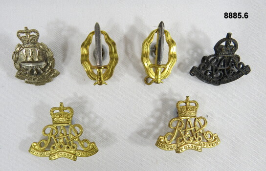 Various military badges different types.