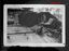 10784.03P Australian M3 Stuart light tank