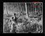 10784.05P Australian infantry Buna