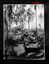 10784.06P Australian Stuart light tanks Buna