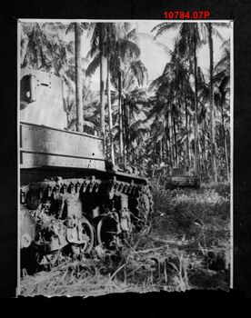 10784.07P Stuart tanks Buna