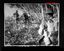 10784.08P Australians on patrol in New Guinea