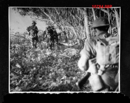 10784.08P Australians on patrol in New Guinea