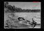 10784.11P Japanese dead Buna beach