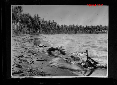 10784.11P Japanese dead Buna beach
