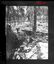 10784.12P Japanese dead Buna