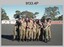 Subject 1 Corporal Course Group Photographs, 1990. 