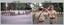 CO's Parade at the Army Survey Regiment, Fortuna Villa, Bendigo. 1990.