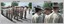 CO's Parade at the Army Survey Regiment, Fortuna Villa, Bendigo. 1990.