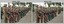 Chief of the General Staff Visit to the Army Survey Regiment 1990. 