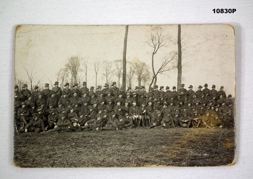 Photograph of a group of unidentified WW1 Australian soldiers.