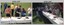 Corps Day Tour and Family BBQ, Army Survey Regiment, Fortuna Villa, Bendigo. 26th June 1991.