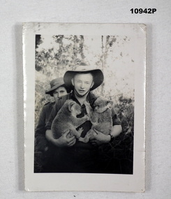 Photograph - SOLDIER & KOALAS, WW2