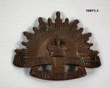 A  mixture of Badges and moulds (positive).