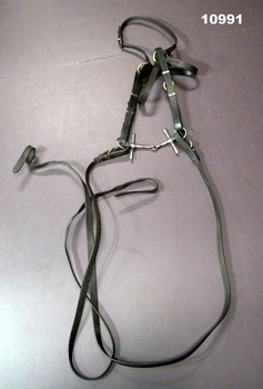Leather and metal bridle for a horse.