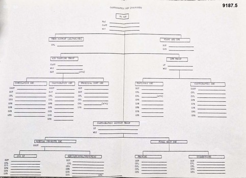 A3 Proposed Manning Chart typed