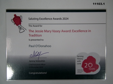 Certificate - SALUTING EXCELLENCE AWARD