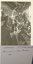 11092.03P Men who transferred from 2/38th to 2/16 Battalion in action in New Guinea