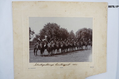 Photograph