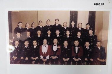 Photograph
