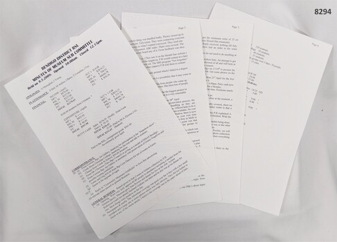 Documentation re the Grinto negatives.