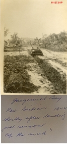 11127.01P Jacquinot Bay mud