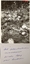 11127.03P Toll plantation massacre