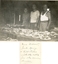 11169.05P Frederick Harcourt Collection